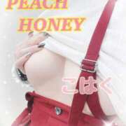 ヒメ日記 2026/01/31 14:30 投稿 こはく ピーチハニー