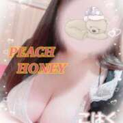 ヒメ日記 2026/02/18 00:30 投稿 こはく ピーチハニー