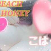 ヒメ日記 2026/02/18 01:30 投稿 こはく ピーチハニー