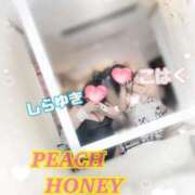ヒメ日記 2026/02/18 13:14 投稿 こはく ピーチハニー