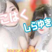 ヒメ日記 2026/02/19 01:00 投稿 こはく ピーチハニー