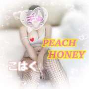 ヒメ日記 2026/02/19 05:30 投稿 こはく ピーチハニー