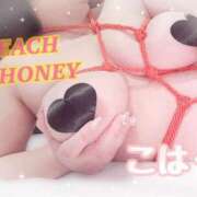 こはく 感謝の気持ち💖🙏´- ピーチハニー