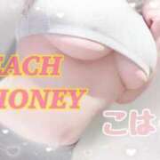 ヒメ日記 2026/06/04 19:01 投稿 こはく ピーチハニー