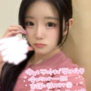 ハルヒ くっつきたい 姫路ラビット