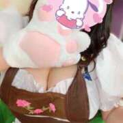 ヒメ日記 2026/02/17 09:52 投稿 しらゆき ピーチハニー