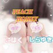 しらゆき 3Pでえろえろなこと🔞🔞👯‍♀️ ピーチハニー