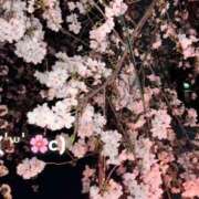 ヒメ日記 2026/03/31 12:02 投稿 蒼井汐 OKINI立川