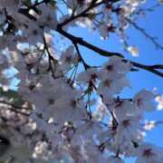ヒメ日記 2026/04/03 11:52 投稿 蒼井汐 OKINI立川