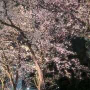 ヒメ日記 2026/05/08 21:38 投稿 ゆの クラブハート