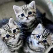 ヒメ日記 2026/02/22 07:01 投稿 Aika Yuzuki PRECIOUS