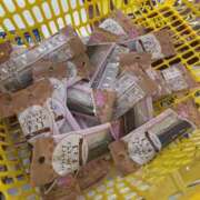 ヒメ日記 2026/02/13 18:00 投稿 くるみ EXE（エグゼ）