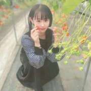 ヒメ日記 2026/01/15 15:50 投稿 のえる ジュリアングループ三多摩店