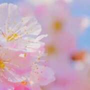 ヒメ日記 2026/02/13 21:13 投稿 さくら 川越ぷよステーション