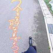 ヒメ日記 2026/03/28 09:23 投稿 さくら 川越ぷよステーション