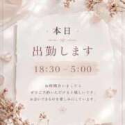 ヒメ日記 2026/08/18 08:23 投稿 さくら ぷよステーション大宮店