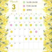 つむ 3月の出勤予定🐹🌻 ハピネス札幌