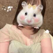 つむ 出勤🐹🌻 ハピネス札幌