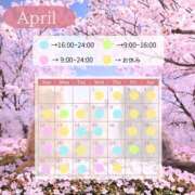 ヒメ日記 2026/04/23 16:03 投稿 つむ ハピネス札幌