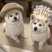 ヒメ日記 2026/03/12 09:37 投稿 いと チュッパリップス川崎in武蔵小杉