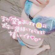 ヒメ日記 2026/02/19 20:45 投稿 うに GODZUMA（ゴッヅマ）