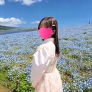 ヒメ日記 2026/01/24 08:39 投稿 しき【濃密で濃厚な甘い時間】 STELLA TOKYO－ステラトウキョウ－