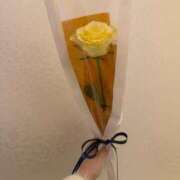 ヒメ日記 2026/02/02 12:47 投稿 しき【濃密で濃厚な甘い時間】 STELLA TOKYO－ステラトウキョウ－