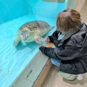 ヒメ日記 2026/01/19 00:54 投稿 あさみ 熟女の風俗最終章 仙台店