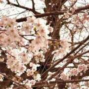 ヒメ日記 2026/04/03 16:51 投稿 新人・彩花(あやか) グランドオペラ東京