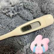 ヒメ日記 2026/01/24 11:28 投稿 なるみ ミルクハート（ユメオト）