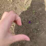 ヒメ日記 2026/03/31 12:03 投稿 白石ゆいか 地元女子のメンズエステ AROMA DREAM