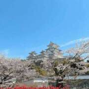 ヒメ日記 2026/02/28 18:50 投稿 エリカ 谷町人妻ゴールデン倶楽部