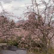 ヒメ日記 2026/04/05 08:40 投稿 エリカ 谷町人妻ゴールデン倶楽部