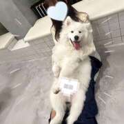 ヒメ日記 2026/01/29 16:05 投稿 マコ variation(バリエーション)