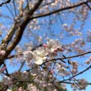 ヒメ日記 2026/03/27 15:47 投稿 ちあき One More 奥様　五反田店