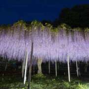 ヒメ日記 2026/04/28 23:21 投稿 ちあき One More 奥様　五反田店