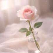 ヒメ日記 2026/03/24 10:18 投稿 一華/Ichika ジュリエット