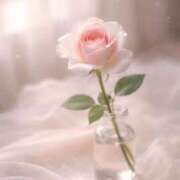 ヒメ日記 2026/03/25 08:12 投稿 一華/Ichika ジュリエット