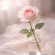 ヒメ日記 2026/03/26 09:21 投稿 一華/Ichika ジュリエット