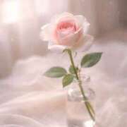 ヒメ日記 2026/03/30 09:21 投稿 一華/Ichika ジュリエット