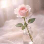 ヒメ日記 2026/03/31 09:18 投稿 一華/Ichika ジュリエット