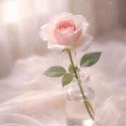 ヒメ日記 2026/04/06 09:33 投稿 一華/Ichika ジュリエット