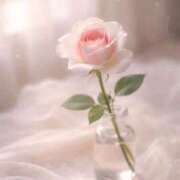 ヒメ日記 2026/04/07 08:57 投稿 一華/Ichika ジュリエット