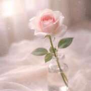 ヒメ日記 2026/04/08 09:27 投稿 一華/Ichika ジュリエット