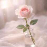 ヒメ日記 2026/04/11 09:18 投稿 一華/Ichika ジュリエット