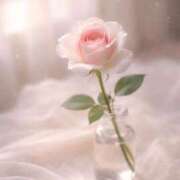 ヒメ日記 2026/04/13 09:18 投稿 一華/Ichika ジュリエット