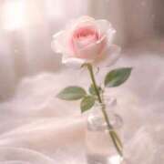 ヒメ日記 2026/04/18 09:18 投稿 一華/Ichika ジュリエット