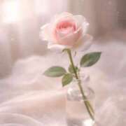 ヒメ日記 2026/04/20 09:18 投稿 一華/Ichika ジュリエット