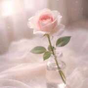 ヒメ日記 2026/04/22 09:42 投稿 一華/Ichika ジュリエット