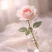 一華/Ichika 4/24(金)出勤🌸 ジュリエット